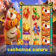 cachorros cururu